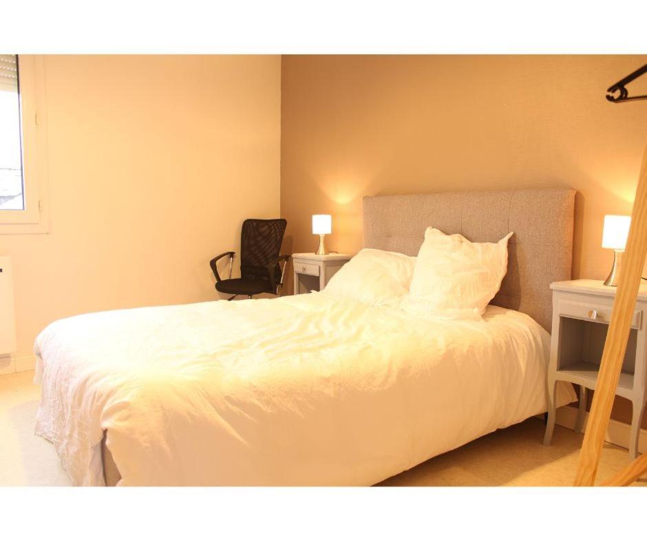 Flexy - T2 - L' Agate Grise - Le Mans Apartment Bagian luar foto